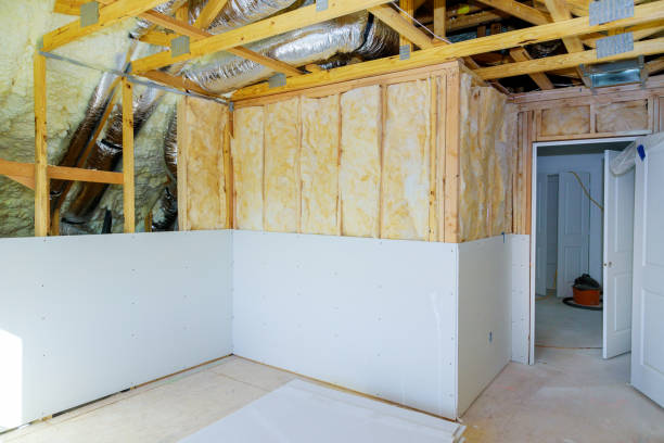 Best Cellulose Insulation in Baldwin City, KS