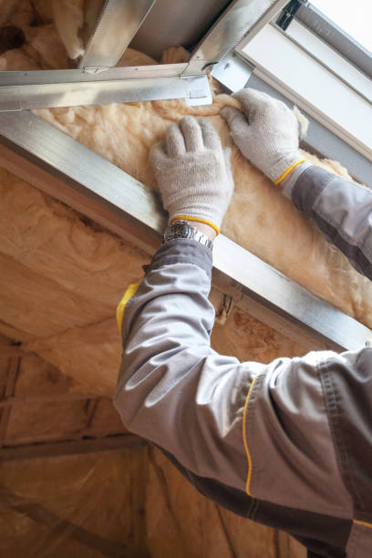 Best Eco-Friendly Insulation in Baldwin City, KS