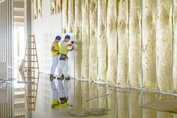 Reliable Baldwin City, KS Insulation Contractor Solutions